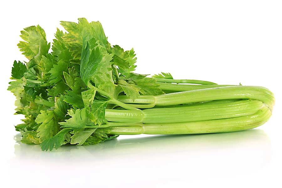 Celery